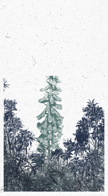 Life in the forest! #3 static token preview