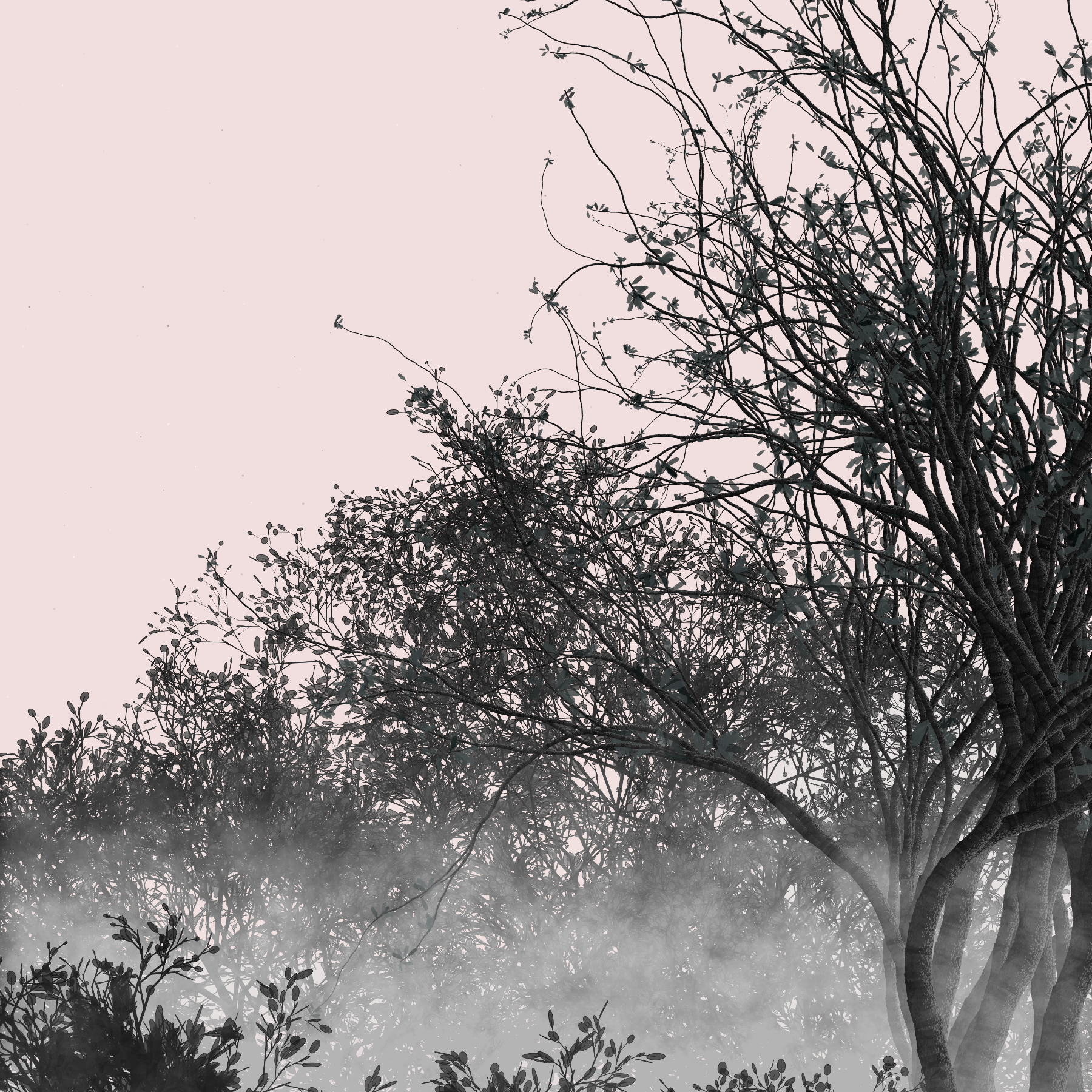 Morning Mist #41 static token preview