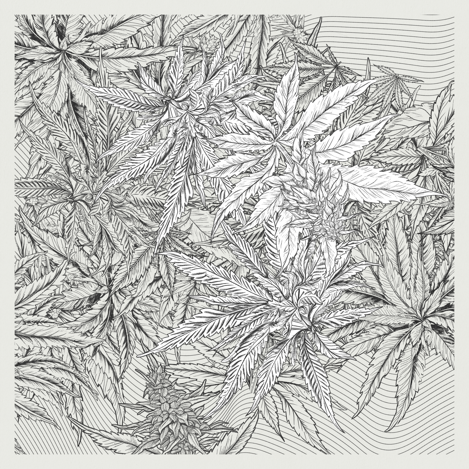 zancannabis #59 static NFT preview