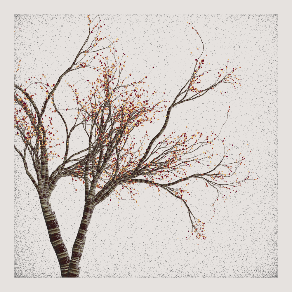 Bougainvillea #34 static NFT preview