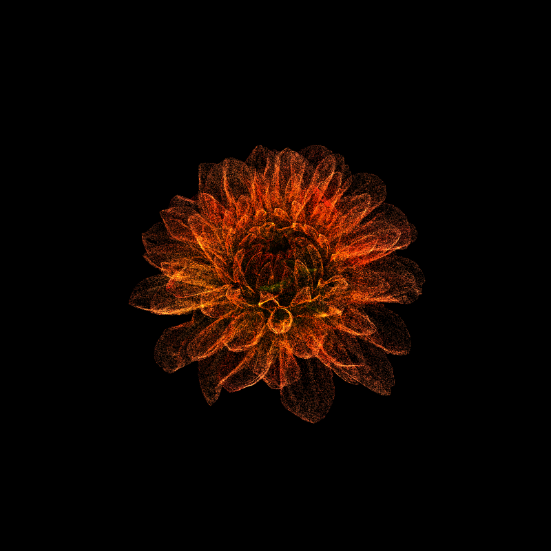 Dahlia Pinnata 30 #121 static NFT preview