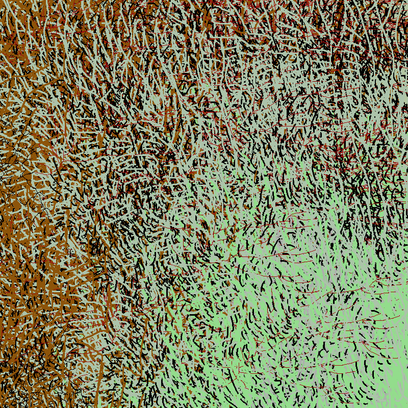a bird worked on my painting #18 static NFT preview
