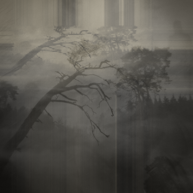 Metamorphose Three #232 static token preview