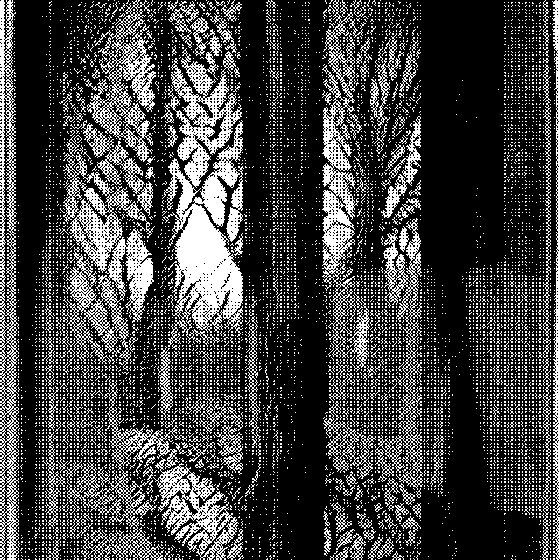 The Hum of Cyber Forest #59 static NFT preview