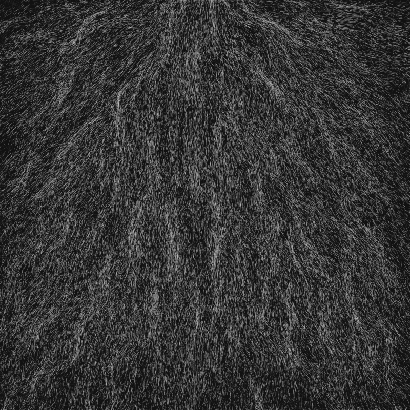 Charge #79 static NFT preview
