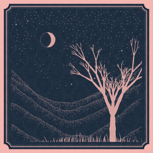 Fire Card project preview