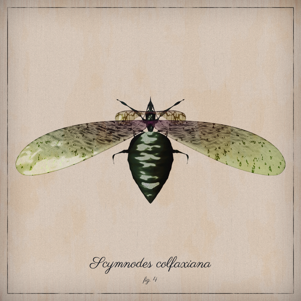 ProcGen Entomology #49 static NFT preview
