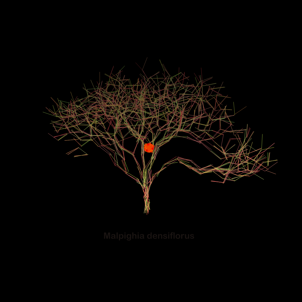 Fluidynamix - Trees #122 static NFT preview