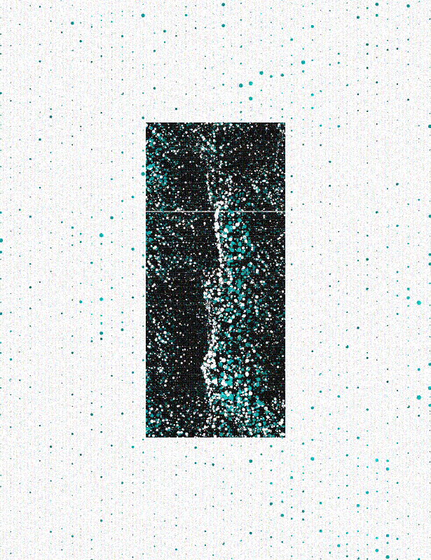 construct//corrupt #19 static token preview
