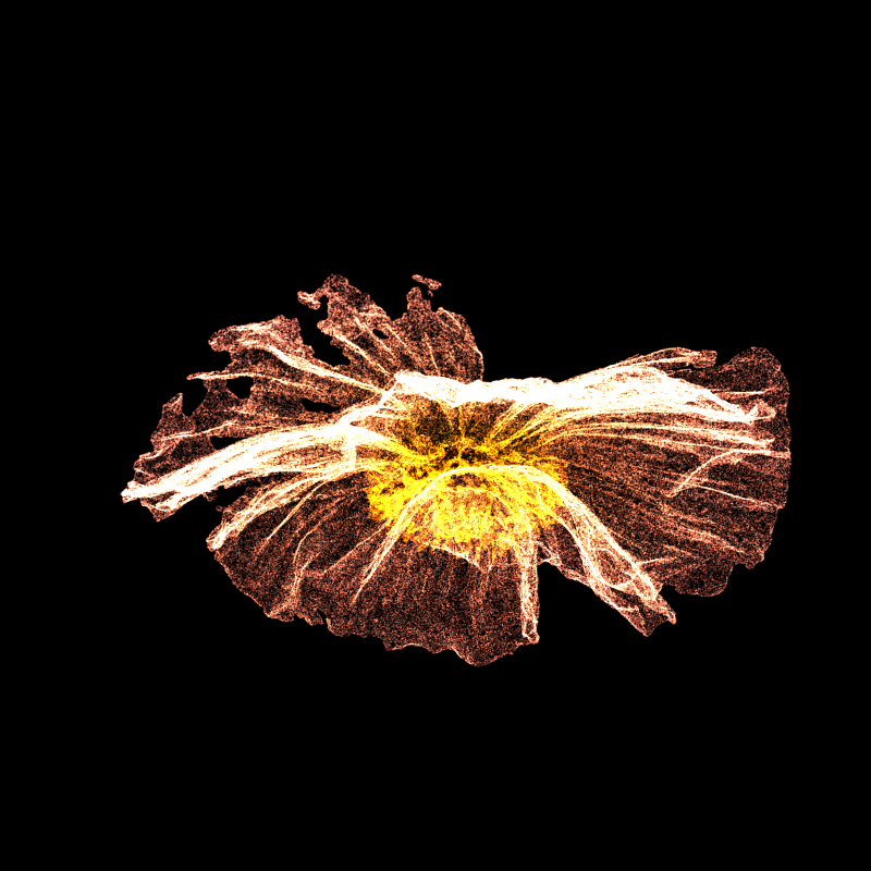 White Poppy 30 #239 static token preview