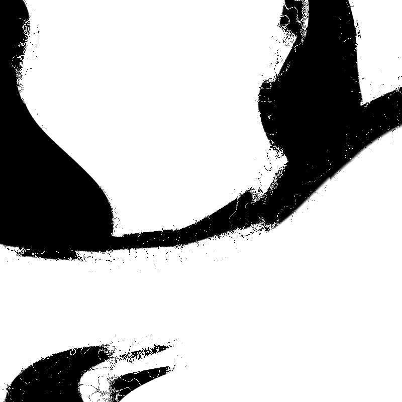 Forget it #31 static token preview