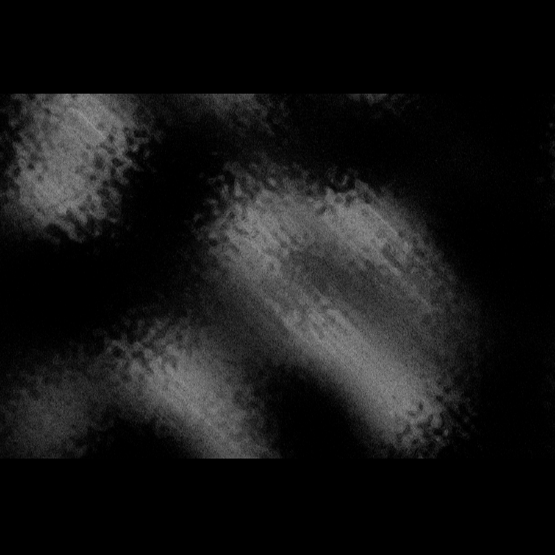 ƧЦBƧƬЯΛƬӨ DΣ PӨΣIЯΛ #60 static token preview