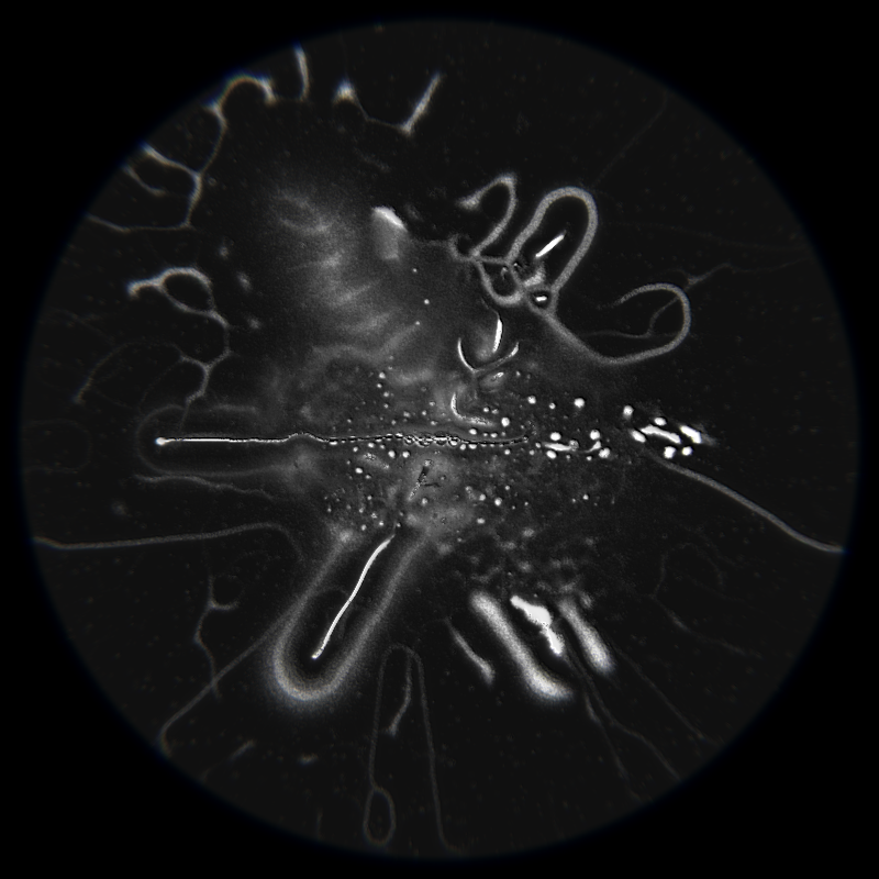 Ethereal Microcosm #63 static NFT preview