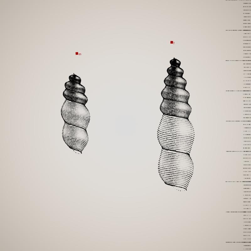 Two Specimen #102 static token preview
