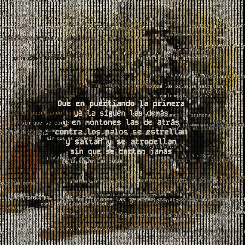 A hacker in the Pampas #89 static token preview