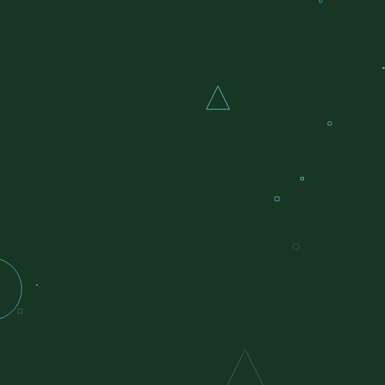 a r b i t r a r y #404 static token preview