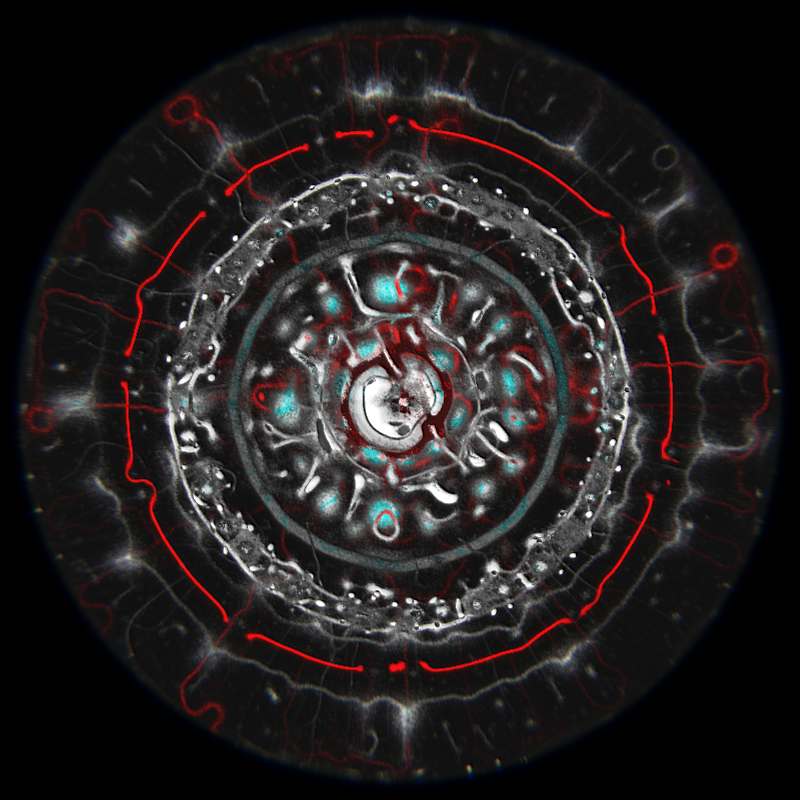 Ethereal Microcosm #229 static NFT preview