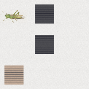 Grasshopper #22 static NFT preview