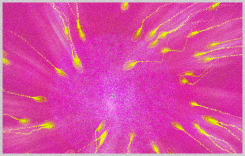 Crescendo #45 static NFT preview