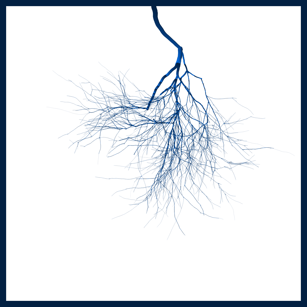 Arbres suspendus #101 static NFT preview