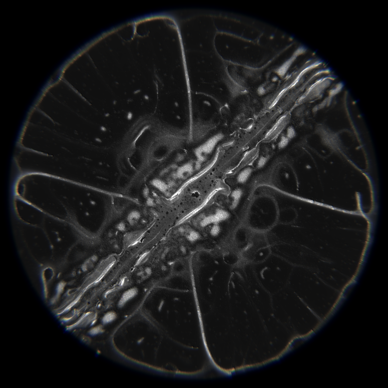 Ethereal Microcosm #83 static NFT preview