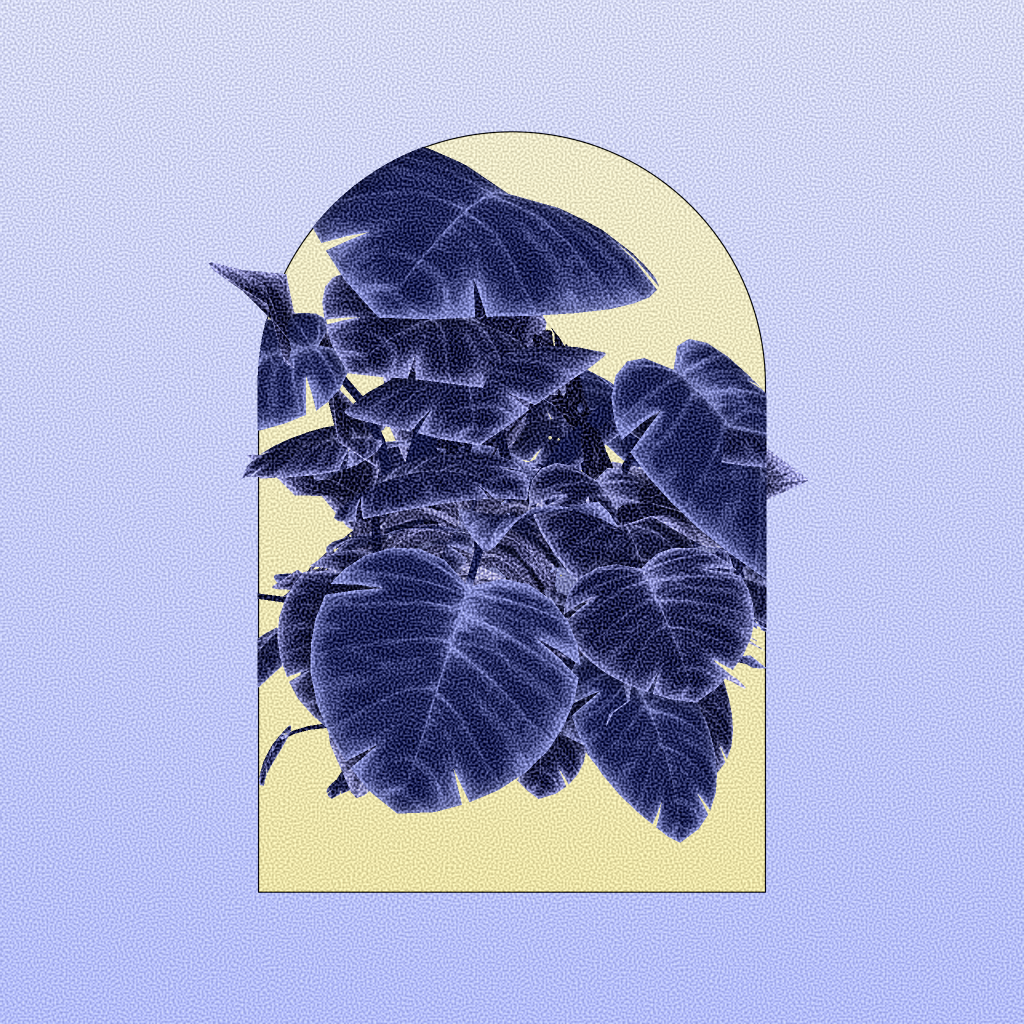 Botany #73 static token preview