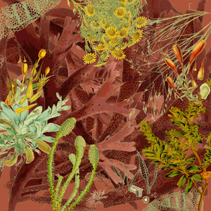 future flora from Antarctica's past project preview