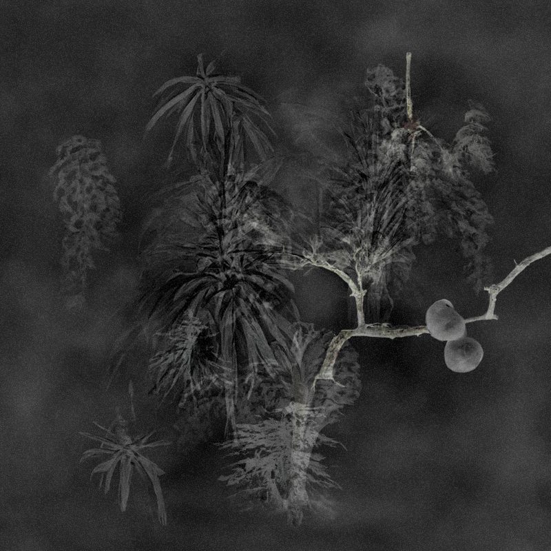 Hauntological Herbarium #50 static token preview
