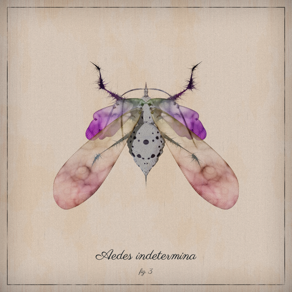 ProcGen Entomology #255 static NFT preview