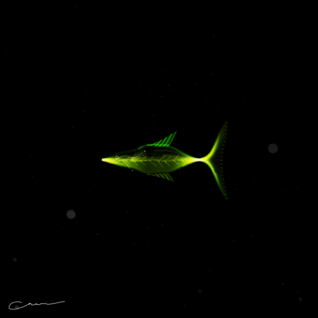 SoulFish #304 static token preview