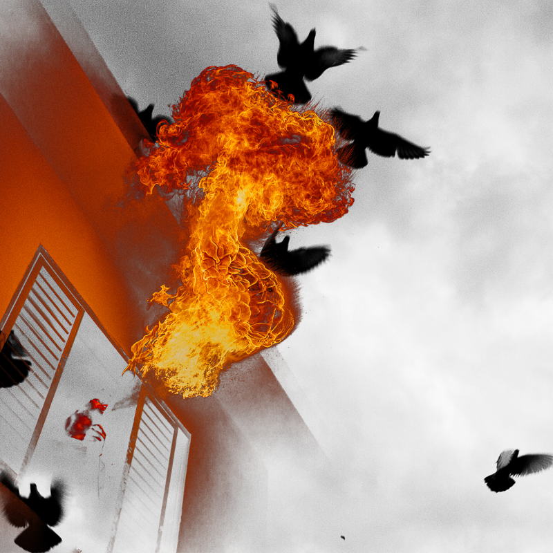 Free to burn #43 static NFT preview