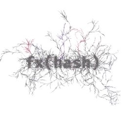 FXHASH Logo with Features #225 static NFT preview