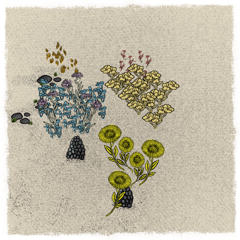 Gardens #83 static NFT preview