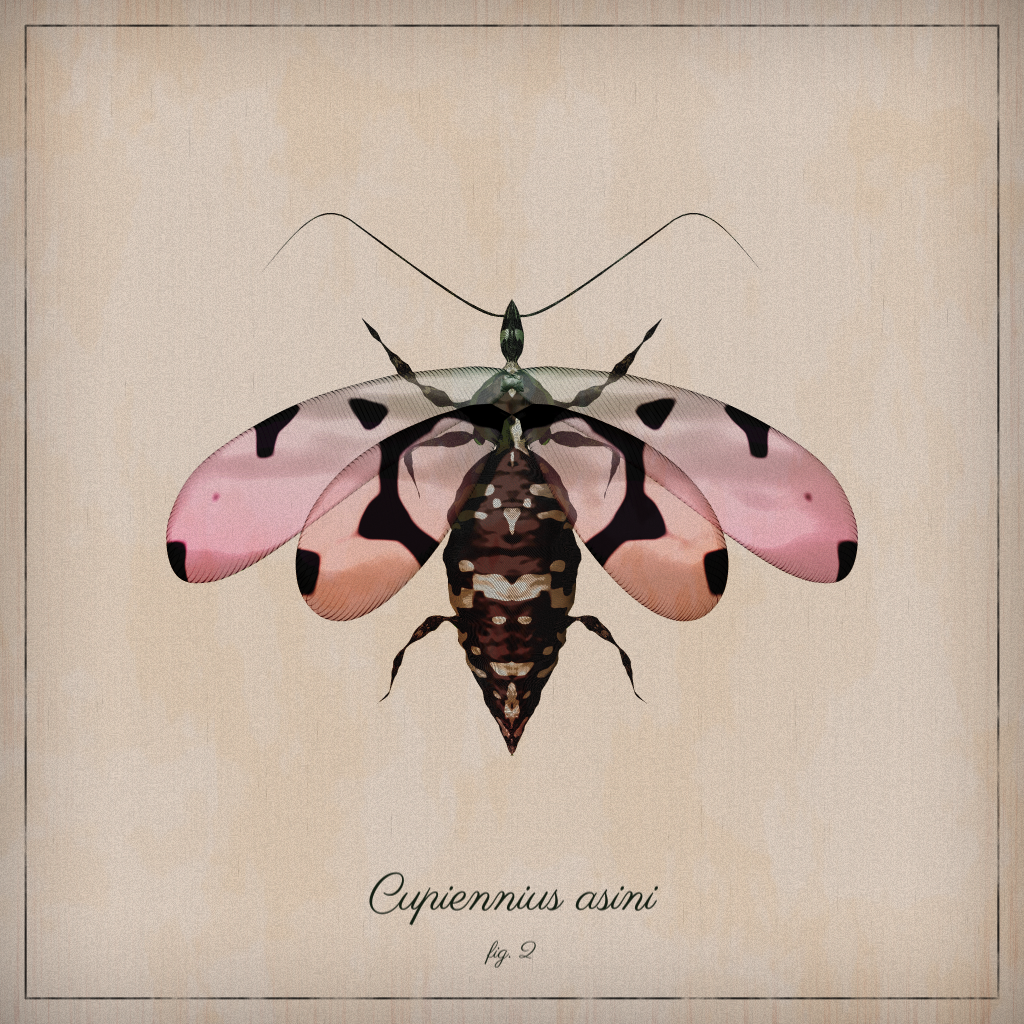 ProcGen Entomology #209 static NFT preview