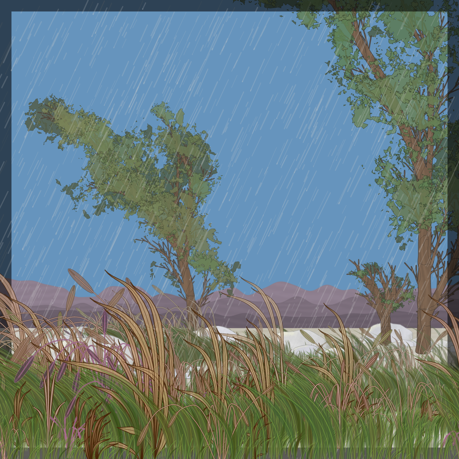 Rain Ritual #257 static token preview