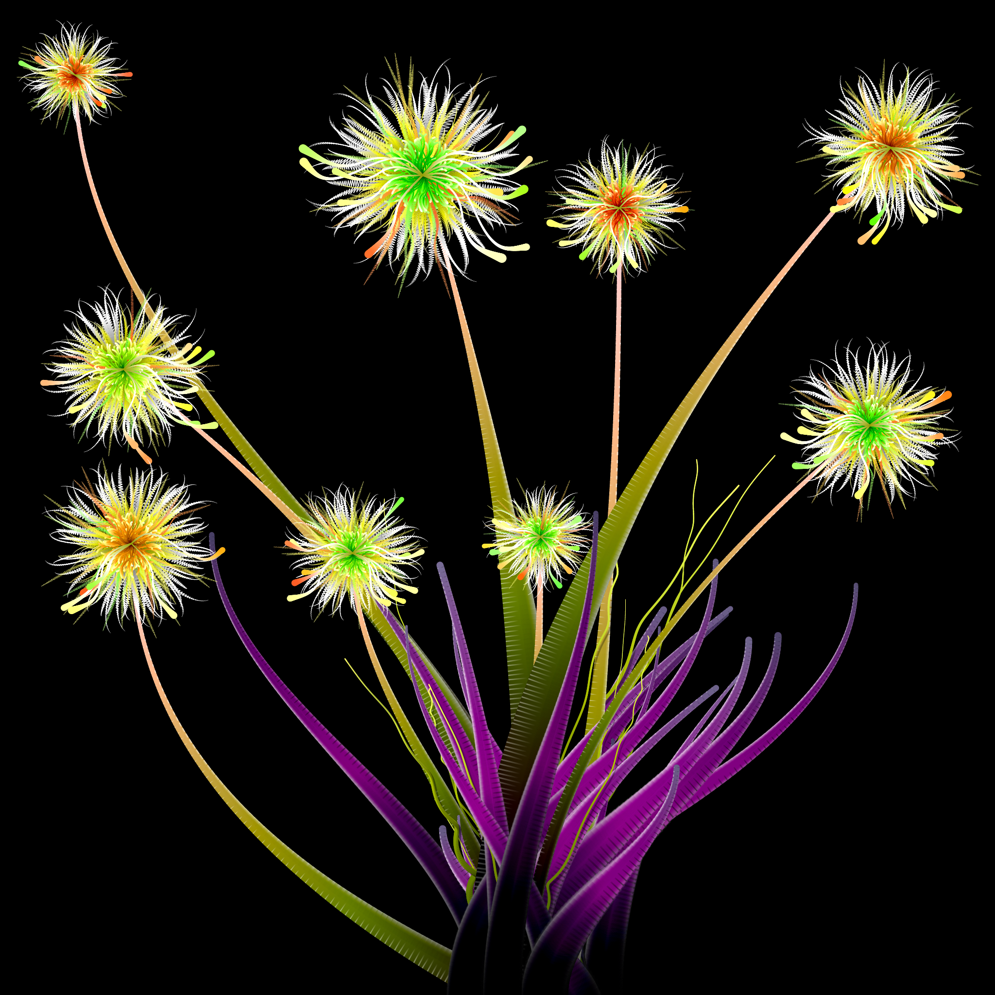 Milena’s Flowers #35 static token preview