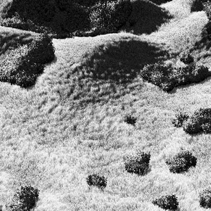 California Hills in Late Sun #112 static NFT preview