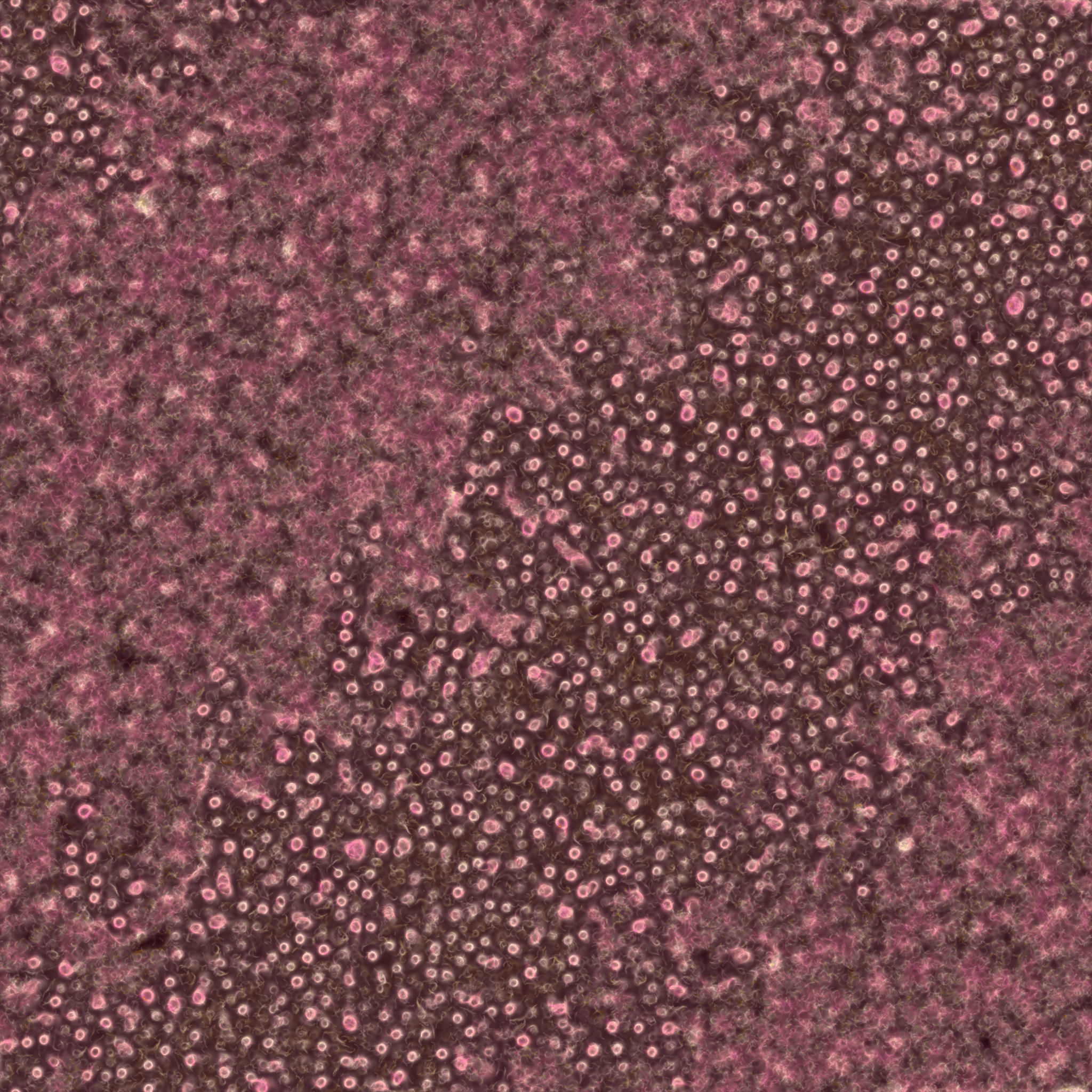 saprophyte #219 static token preview