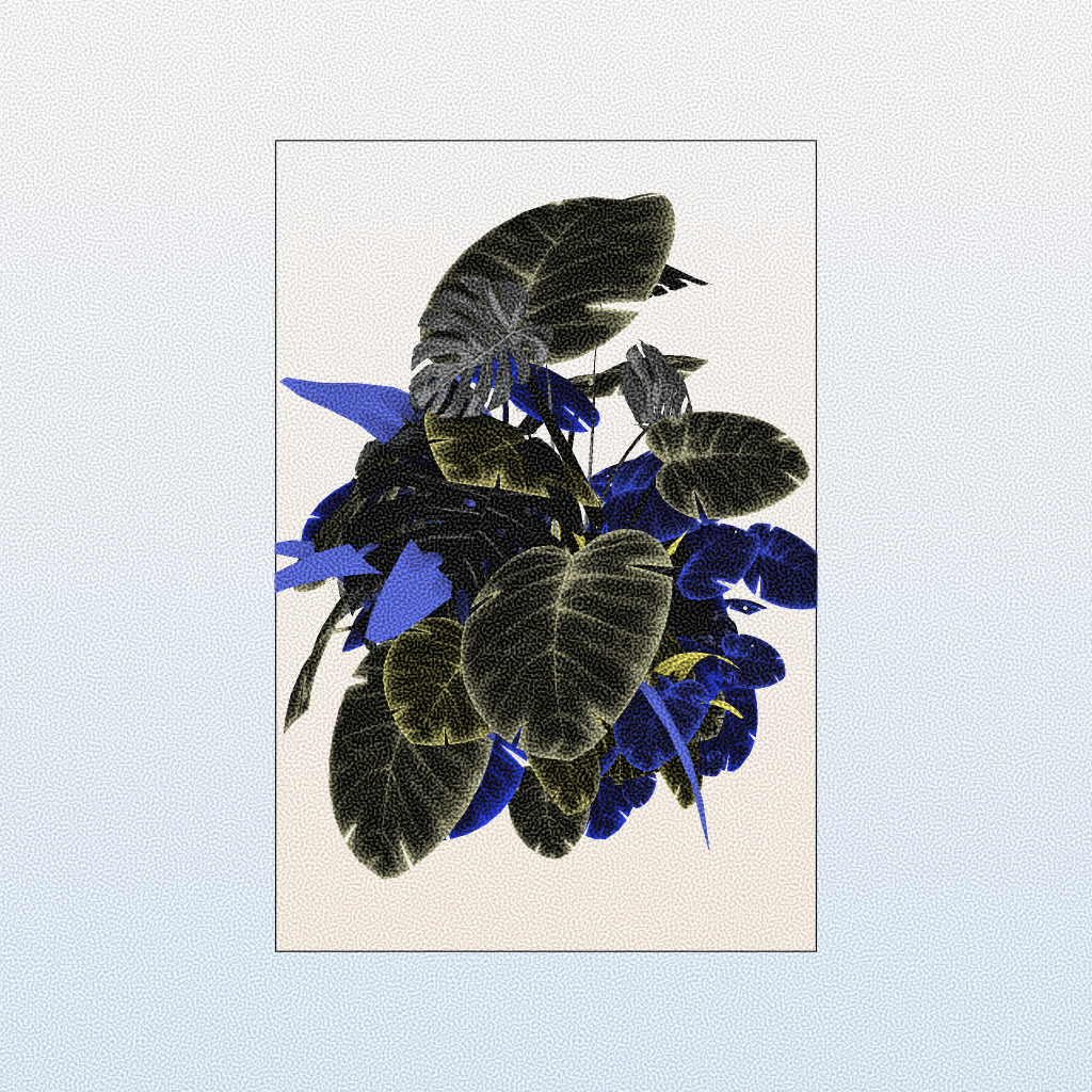 Botany #31 static token preview