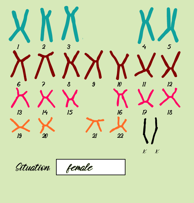 "Karyotype" #8 static token preview