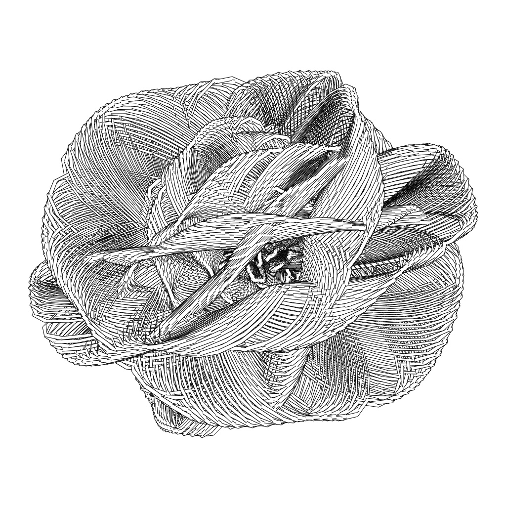 LL21 Entangled (3) #457 static token preview