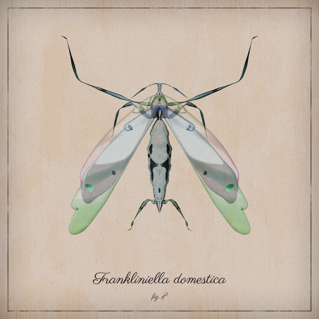 ProcGen Entomology #156 static NFT preview