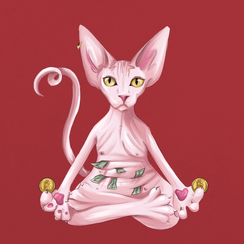 YogaCat #17 static token preview