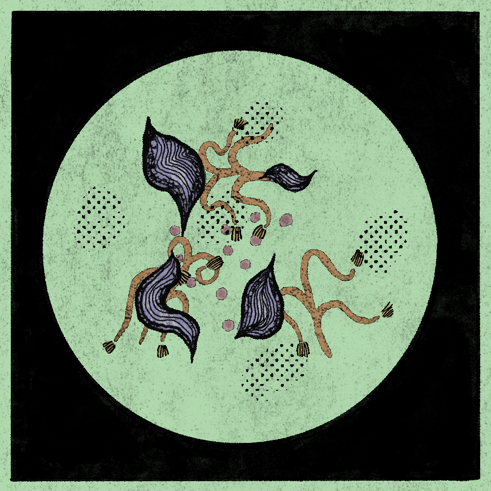 Microbes #177 static token preview
