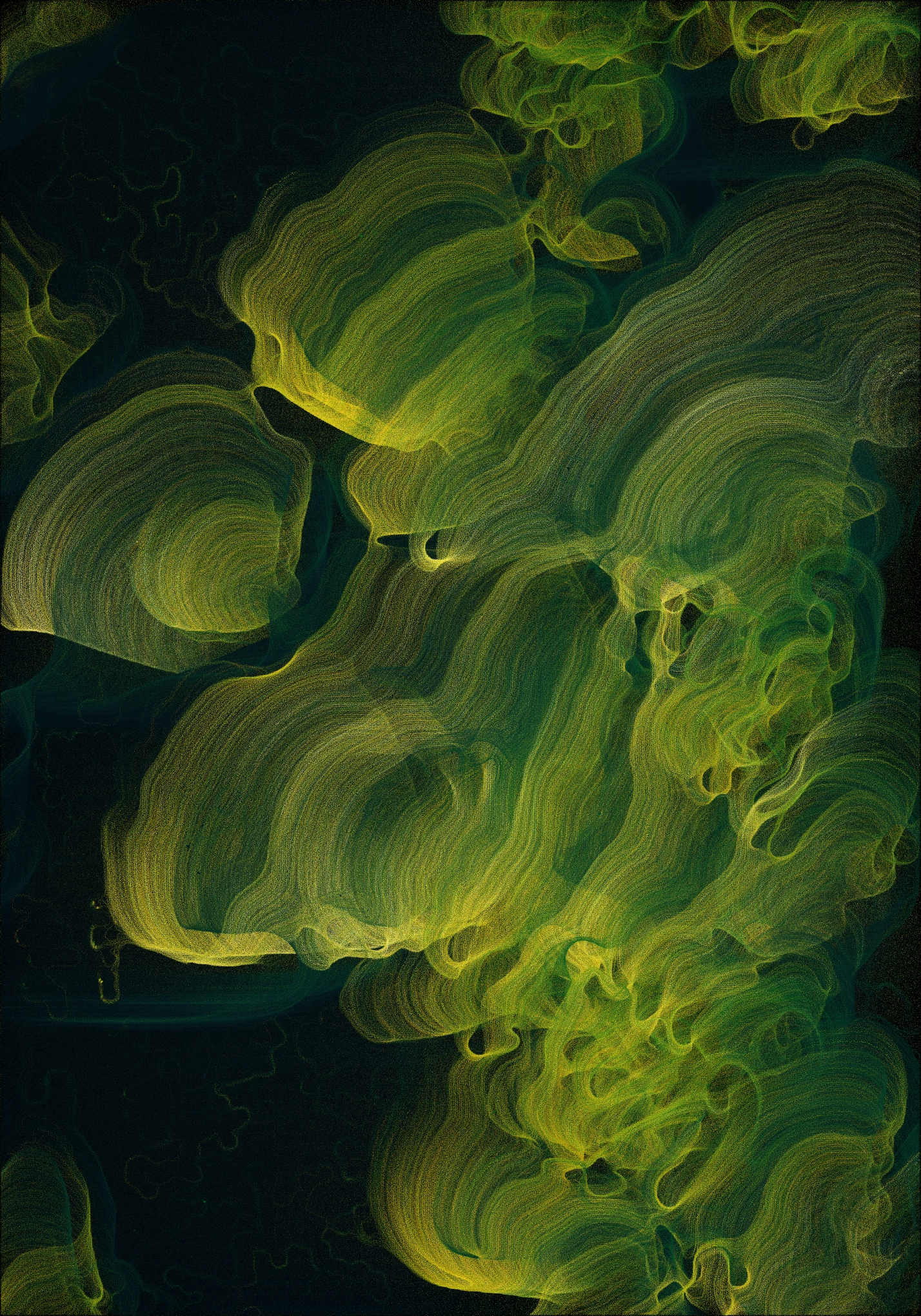 Bloom #66 static NFT preview