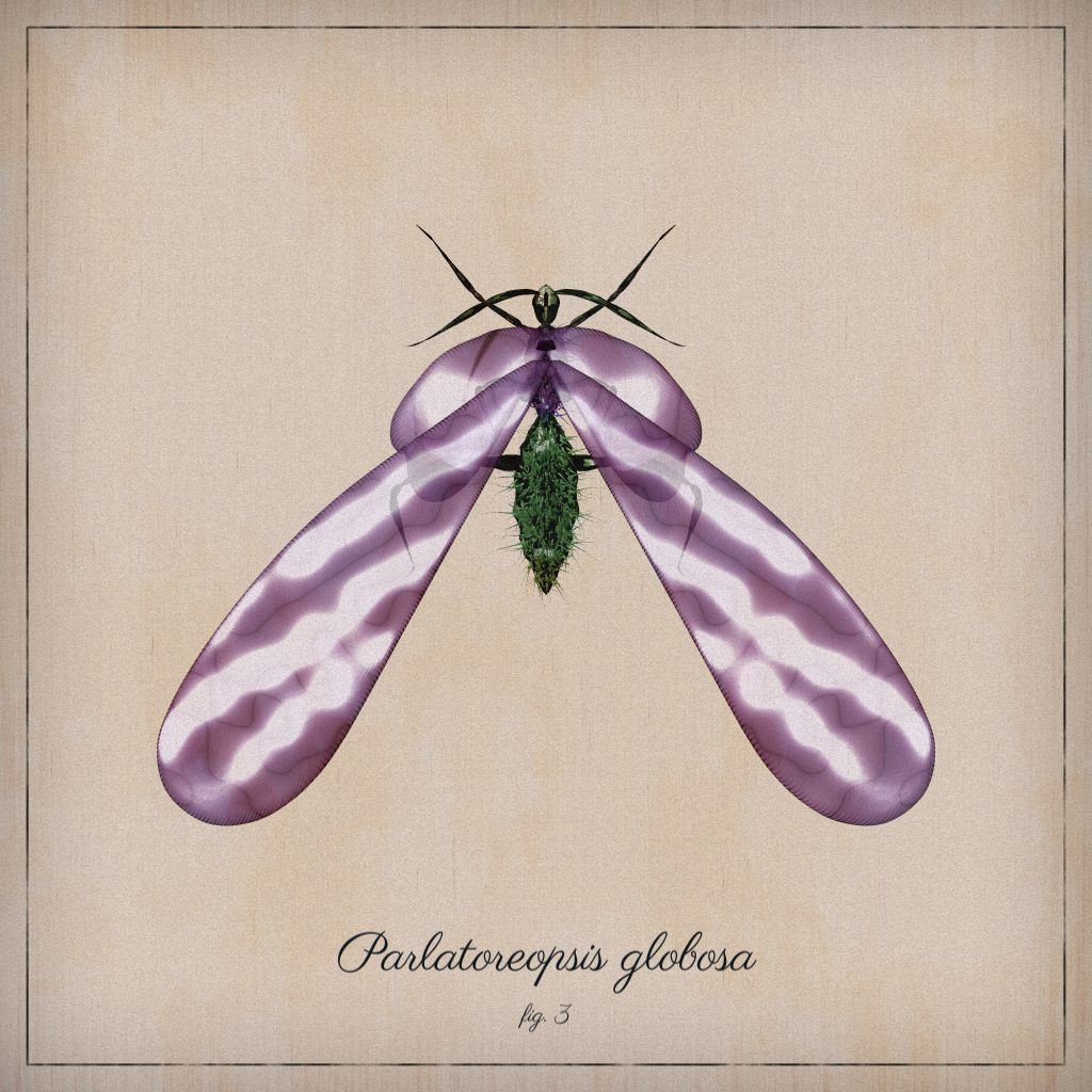 ProcGen Entomology #499 static NFT preview