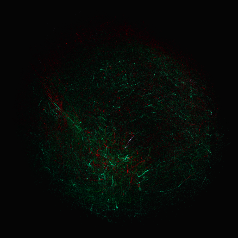 balls in vector fields #52 static NFT preview
