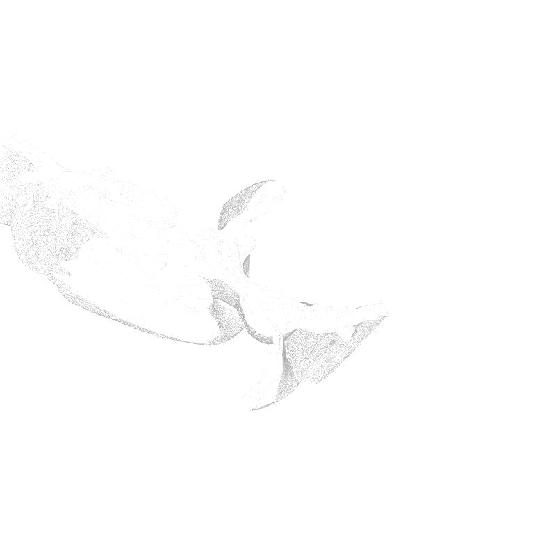 traces #39 static NFT preview