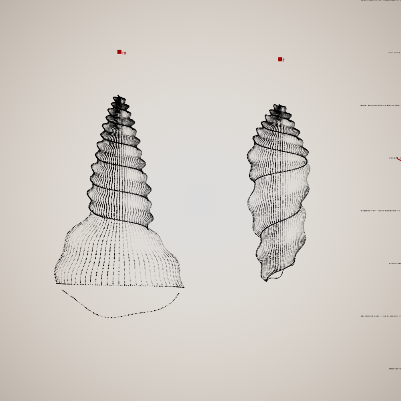 Two Specimen #224 static NFT preview