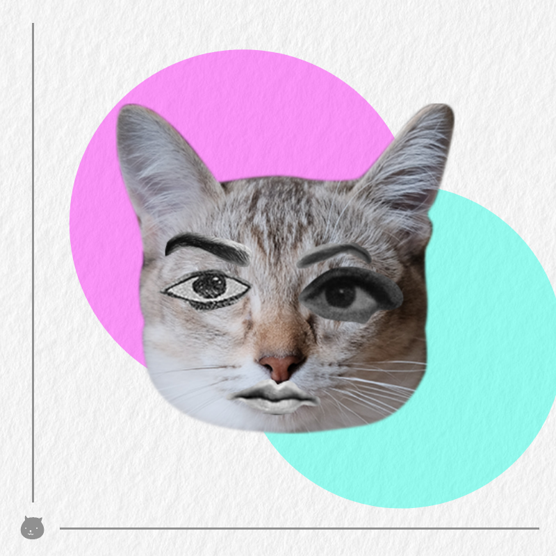 Kittenstein #49 static NFT preview